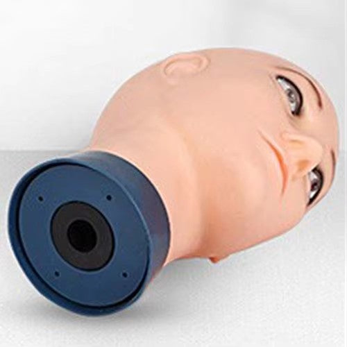 53cm head circumference male bald mannequin head dummy head